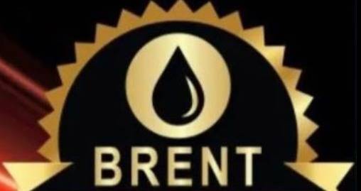 WhatsApp Image 2024-08-25 at 8.51.11 AM (1)